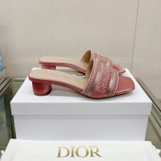 Christian Dior Slippers